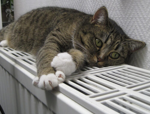 Richtig heizen und sparen