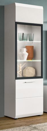 Vitrine Cover in wei� Hochglanz Vitrinenschrank 45 x 160 cm