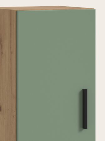 Wohnwand Onawa in Gr�n und Artisan Eiche Wohnkombination h�ngend / stehend 249 x 184 cm