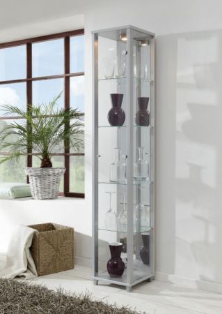 Vitrine Glasvitrine silber/alufarben mit Spiegelrückwand und Beleuchtung