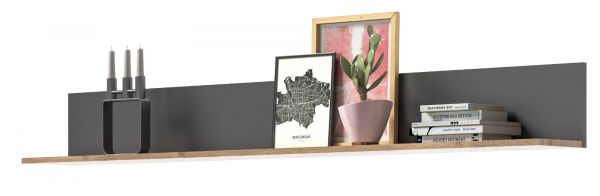 Wandboard Tomaso in Nox Eiche und Basalt grau Wandregal 180 cm Bcherregal