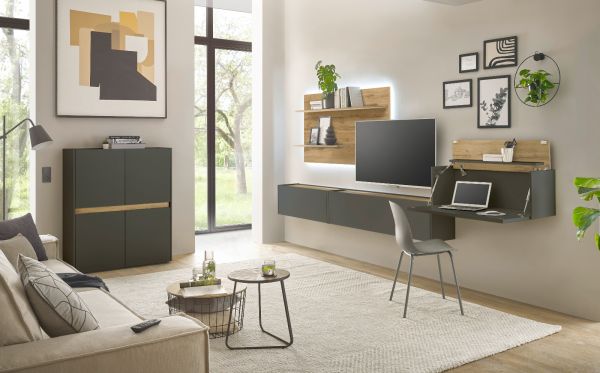 Wandregal Center in Wotan Eiche und grau matt Wandpaneel fr Homeoffice und Bro 155 x 80 cm