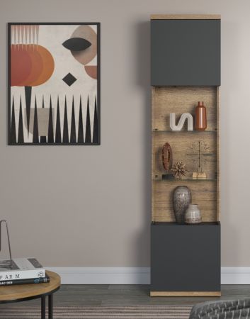 Vitrine Norris in grau und Evoke Eiche Wohn- und Esszimmer Vitrinenschrank mit Soft-Close 51 x 205 cm