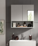 Badezimmer Spiegelschrank Carlo in grau Badschrank 2-trig mit Soft-Close 55 cm