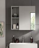 Badezimmer Spiegelschrank Carlo in grau Badschrank 1-trig mit Soft-Close 55 cm