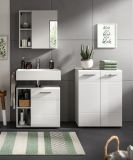 Badezimmer Spiegelschrank Carlo in grau Badschrank 1-trig mit Soft-Close 55 cm