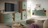 Wohnwand Onawa in Gr�n und Artisan Eiche Wohnkombination h�ngend / stehend 259 x 184 cm