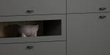 Highboard Nuvola in grau und Eiche Evoke, Wohn- und Esszimmer Vitrinenschrank 122 x 140 cm