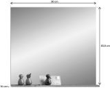 Garderobenspiegel Tomaso in Nox Eiche und Basalt grau Wandspiegel mit Ablage 90 x 84 cm