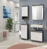 Badezimmer Spiegelschrank Shawn in Rauchsilber grau Badschrank 3-trig 60 x 79 cm