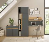 Aktenschrank Center in grau matt und Wotan Eiche Stauraumschrank fr Homeoffice und Bro 50 x 200 cm