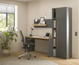 Aktenschrank Center in grau matt und Wotan Eiche Stauraumschrank fr Homeoffice und Bro 50 x 200 cm