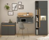 Brombel komplett Set Center in grau matt und Wotan Eiche mit Aktenschrank, Sekretr und Vitrine fr Homeoffice