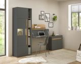 Brombel komplett Set Center in grau matt und Wotan Eiche mit Aktenschrank, Sekretr und Vitrine fr Homeoffice
