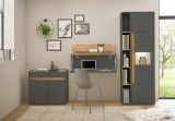 Brombel komplett Set Center in grau matt und Wotan Eiche mit Aktenschrank, Sekretr und Vitrine fr Homeoffice