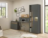 Aktenschrank Set Center in grau matt und Wotan Eiche Vitrine und Regal fr Homeoffice 70 x 200 cm
