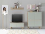 TV-Lowboard Isgard in Pistazie matt und Scandi Eiche TV Unterteil skandinavisch 107 x 50 cm